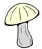 Mushroom1a